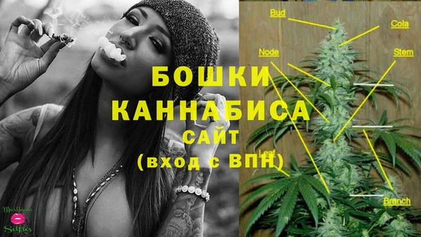 jwh Белокуриха