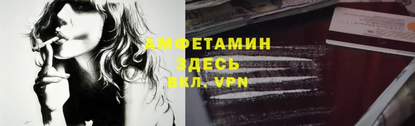 индика Семёнов