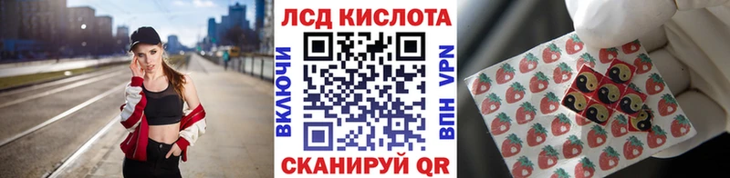 Марки 25I-NBOMe 1,8мг  кракен ссылки  Кувандык  где можно купить наркотик 