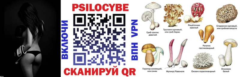 Псилоцибиновые грибы мицелий  хочу наркоту  Кувандык 