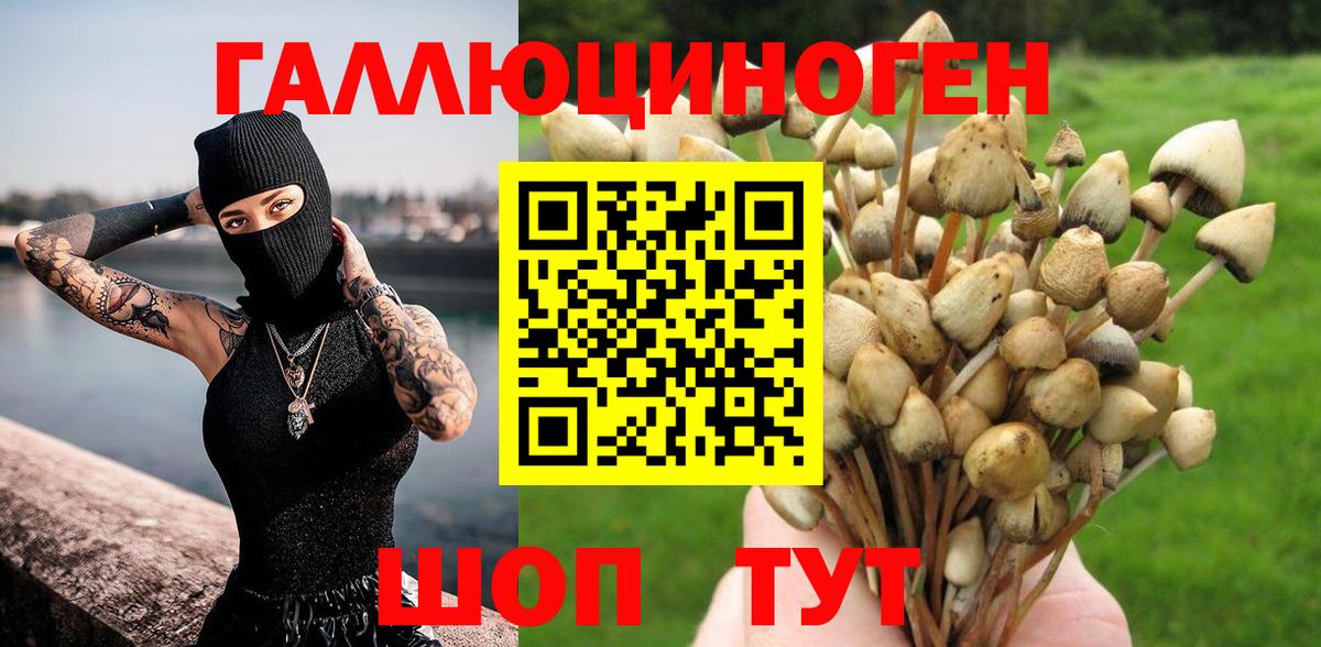 купить   Вход с VPN  Кувандык  Галлюциногенные грибы Psilocybine cubensis 
