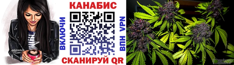 МАРИХУАНА SATIVA & INDICA Кувандык